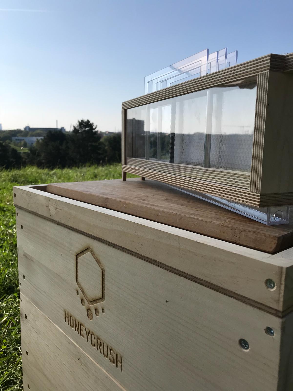 Honigwaben aufgestellt auf eine Wiese